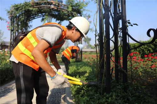 盛夏果實,不負光陰 人文園林綠化施工實操技能培訓(xùn)圓滿完成