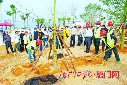 廈門 綠化企業(yè)信用越好 招投標(biāo)機(jī)會越多